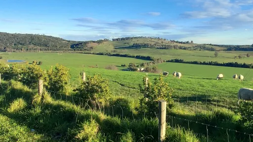 Lysterfield Valley view south